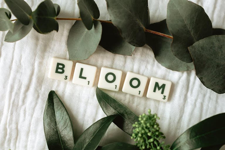 Scrabble tiles spelling 'bloom' surrounded by lush green leaves.